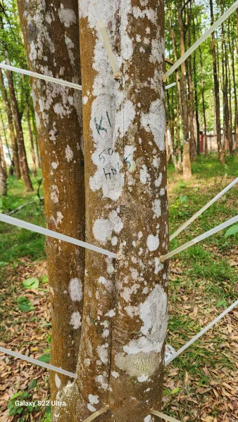 Fertile Farm Lands in Hyderabad - Sanjivani golden form